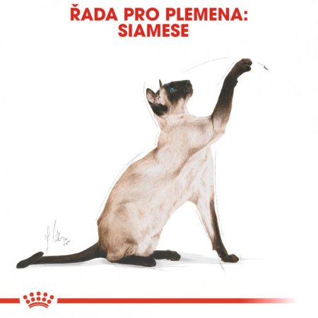 Royal Canin Siamese 2 kg