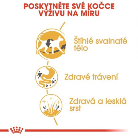 Royal Canin Siamese 10 kg