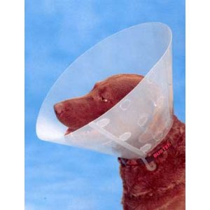 Golier ochranný BUSTER plastový Clic Collar 35cm