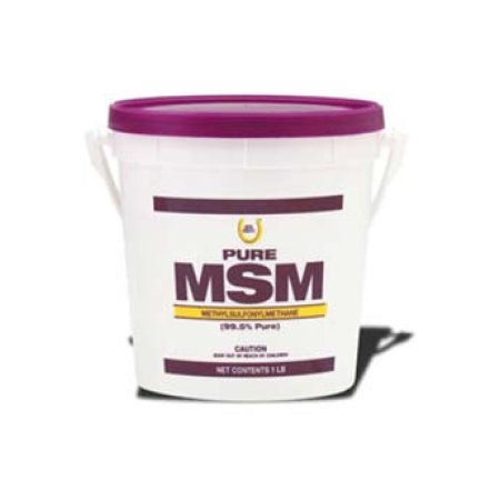 FARNAM MSM Ultra-pure pre kone plv 1kg