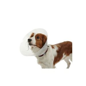 Golier ochranný BUSTER plastový Classic Collar 7,5 cm