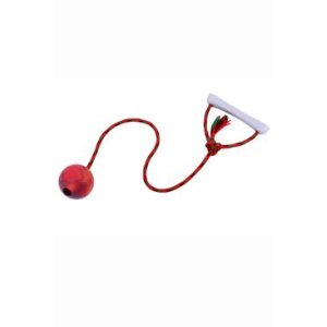 Hračka pes Lopta aport. na šnúrke plávacej Vanil. 7 cm SP