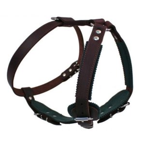 PROFIZOO Kožený postroj JAGO č.1 (25 mm x OK 48-69 cm, OH 68-81cm) hnedá