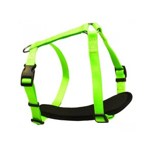 PROFIZOO Kšírky Neon č.2 (15mm) zelená