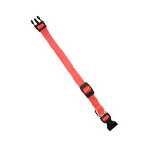 Obojok nylon CLUB C 44cmx15mm oranžový FP 1ks