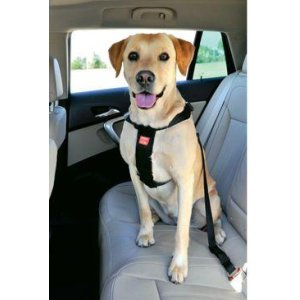 Postroj pes Bezpečnostné do auta L Zolux