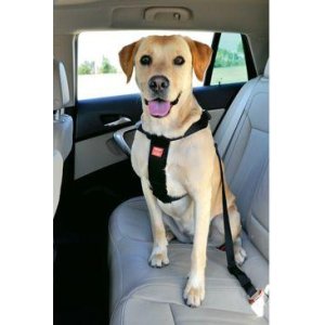 Postroj pes Bezpečnostné do auta XL Zolux