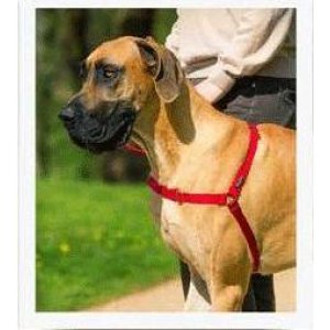 Postroj EasyWalk, červený L