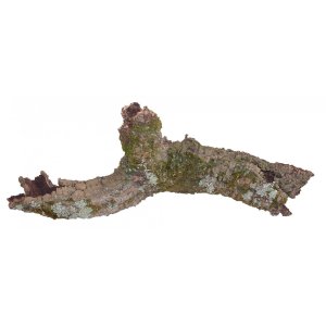 Lucky Reptile Korok Rustica 15-20 cm hrubé, 60-80 cm dlhé (ks)