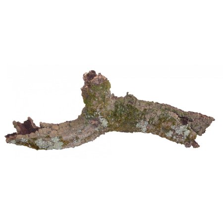 Lucky Reptile Korok Rustica 15-20 cm hrubé, 60-80 cm dlhé (ks)