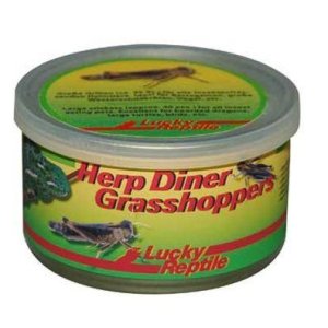 Lucky Reptile Herp Diner - sarančatá 35g cca 50 stredných