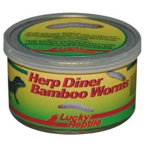 Lucky Reptile Herp Diner - bambusové červy 35g