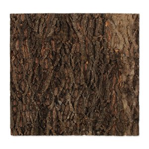 Pozadie REPTI PLANET korok prírodný 58,5 x 56 x 2 cm