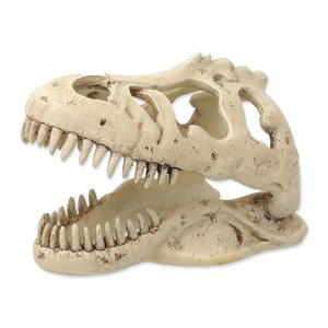 Dekorácia REPTI PLANET T-REX lebka 13,3 cm