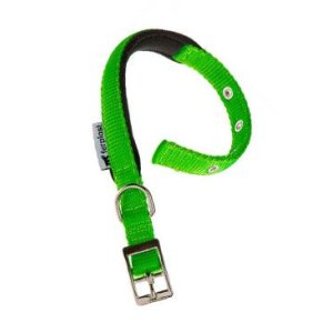 Obojok nylon DAYTONA C 53cmx25mm zelený FP 1ks