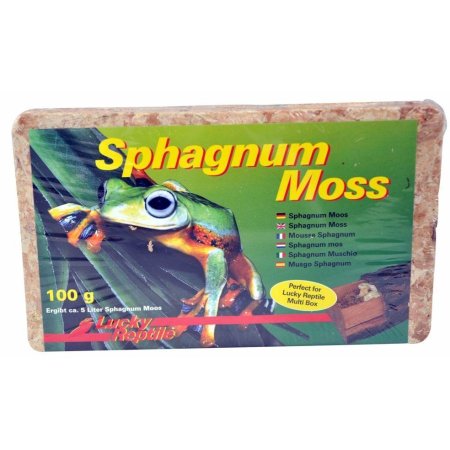 Lucky Reptile Sphagnum Moss - rašeliník 500g