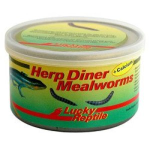 Lucky Reptile Herp Diner - múčne červy 35g Múčne červy mini 35g