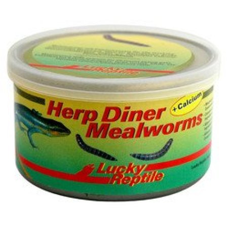 Lucky Reptile Herp Diner - múčne červy 35g Múčne červy mini 35g