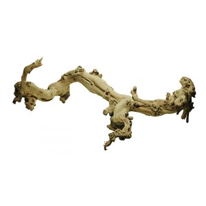 Lucky Reptile Grapevine S 35-45 cm