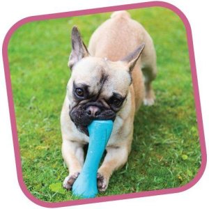 BecoBone kosť EKO-modra-s