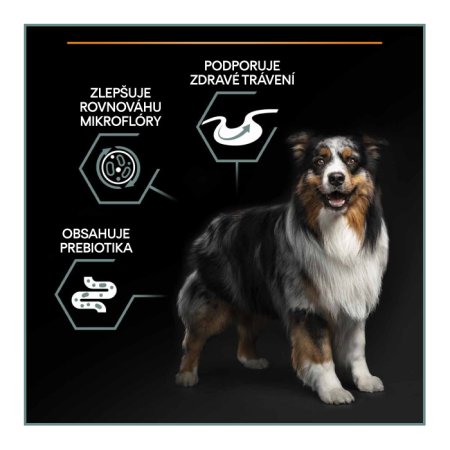 Pro Plan Medium & Large Adult GrainFree morka 12 kg