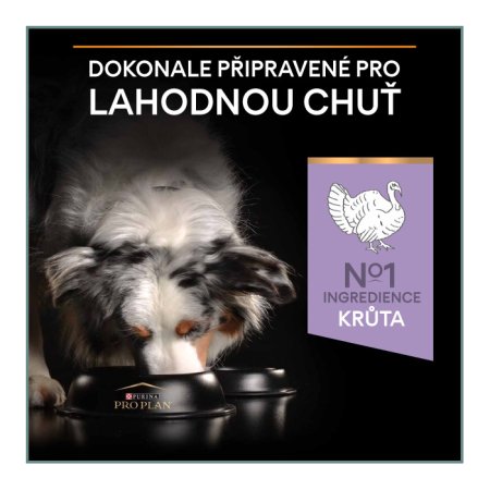 Pro Plan Medium & Large Adult GrainFree morka 12 kg