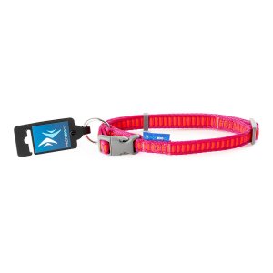 PROFIZOO Obojok popruh REBRÍK (20mm x 38-60cm) fuchsie