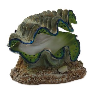 Dekorácia AQUA EXCELLENT Mušle vzduchovacie 12 x 10 x 5,5 cm 1ks