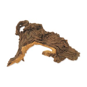 Dekorácia Tropical wood S
