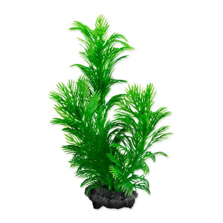 Rastlina TETRA Green Cabomba S