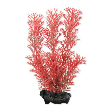 Rastlina TETRA Foxtail Red S