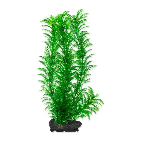 Rastlina TETRA Green Cabomba L