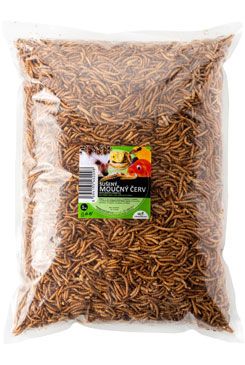 UGF sušený múčny červ 1kg