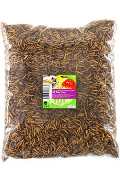 UGF sušená bránenka 1kg