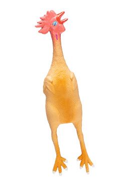 Hračka pes Kurča pískacie 50cm latex KAR