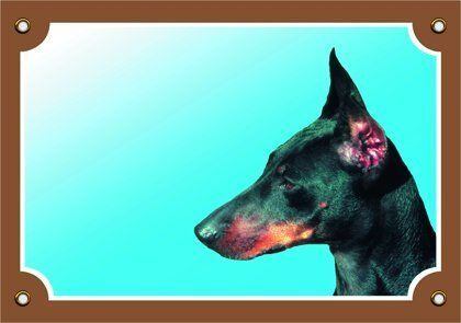 Tabuľka doberman