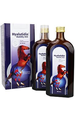Hyalutidín Mobility HCC 2x500ml
