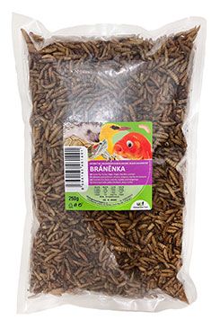 UGF sušená bránenka 250g