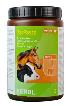 Decht kopytný bukový (Holzteer) 1kg