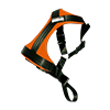 Bezpečnostné postroje a pásy pre psov